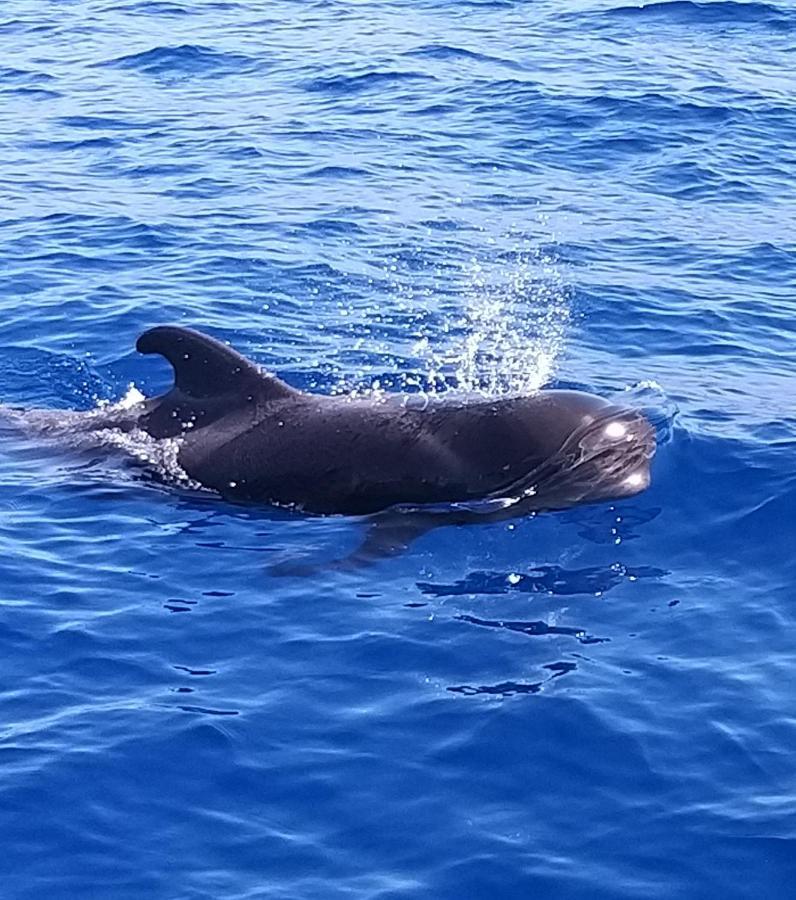 Tenerife Playa La Arena 圣地亚哥港 外观 照片