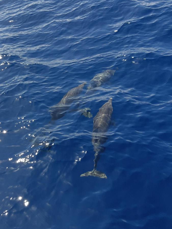 Tenerife Playa La Arena 圣地亚哥港 外观 照片