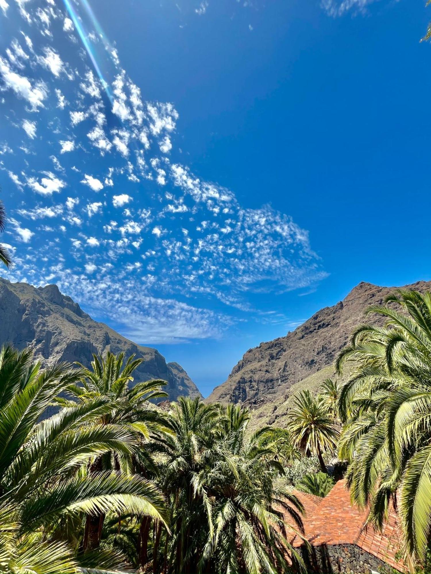 Tenerife Playa La Arena 圣地亚哥港 外观 照片